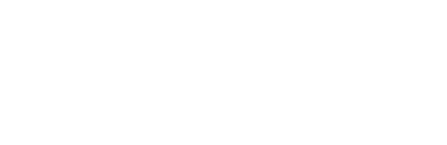 Basketball Ireland Logo